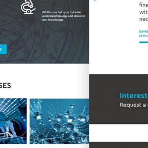 Homepage UI UX Design